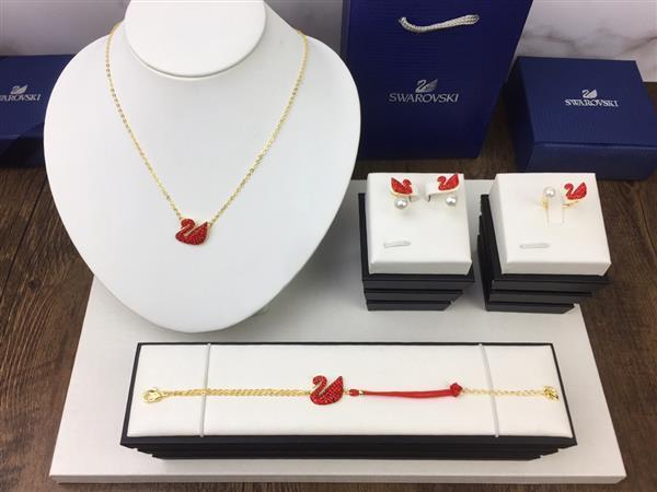 20242615450257 40404035